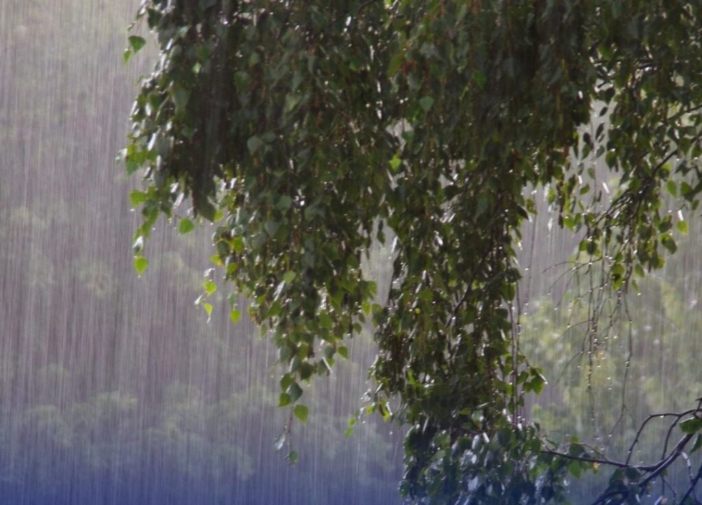 lluvias-aisladas-y-posibles-rafagas-de-viento-este-domingo