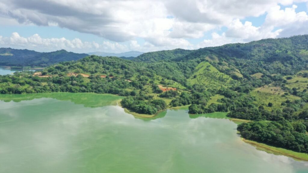 alerta-ambiental-en-la-presa-de-hatillo-por-contaminacion