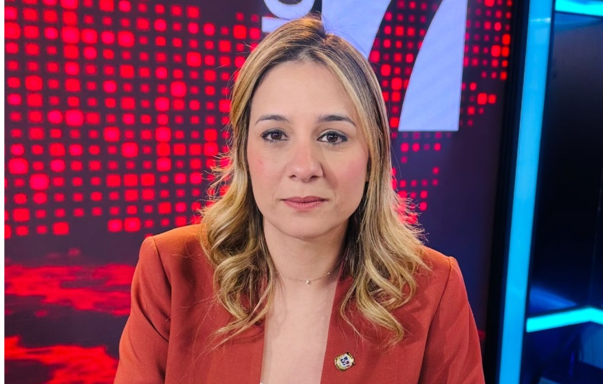 liz-mieses-afirma-que-bases-del-prm-respaldan-convencion-cerrada-y-rechaza-eleccion-por-aclamacion-o-encuestas