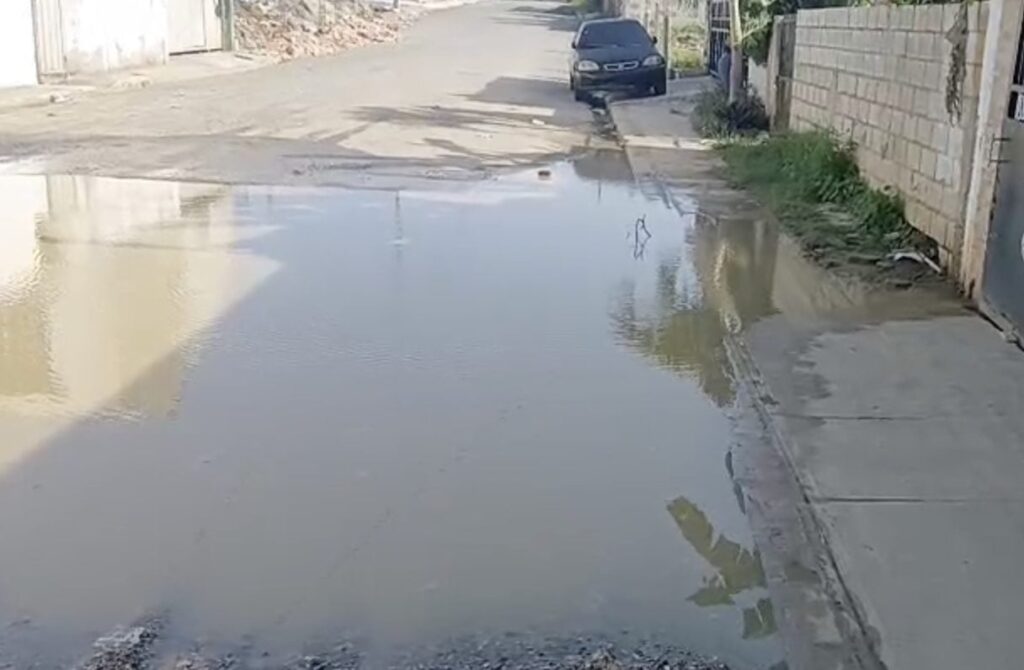 en-los-jardines-del-centenario,-sde,-denuncian-aguas-estancadas-desde-meses-en-sde