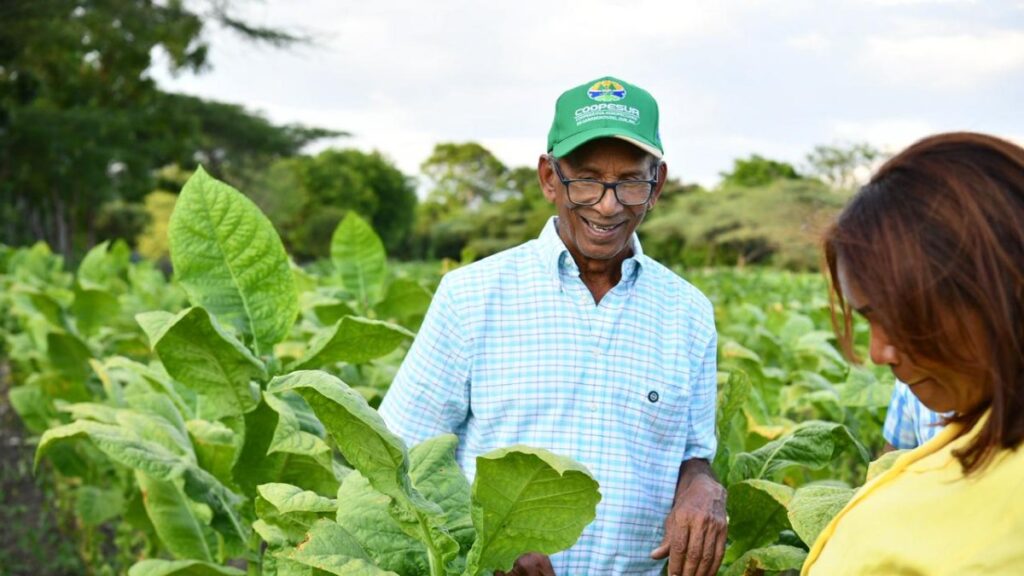 «un-pequeno-prestamo-cambio-mi-vida»,-dice-productor-de-tabaco-sobre-beneficios-del-riego-por-goteo