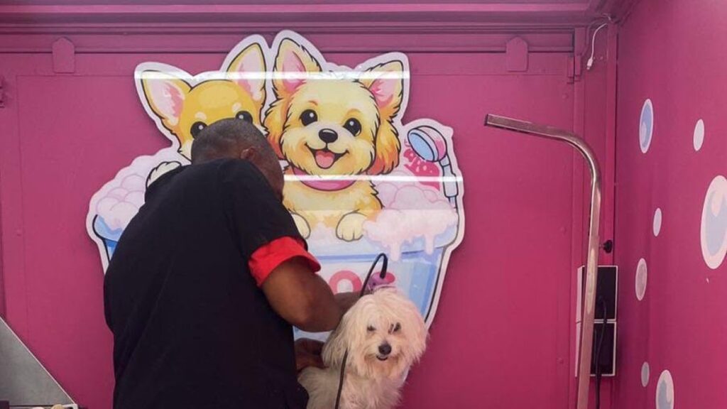 pink-dog-moviles:-innovador-servicio-a-domicilio-que-consiente-a-tus-mascotas-en-rd