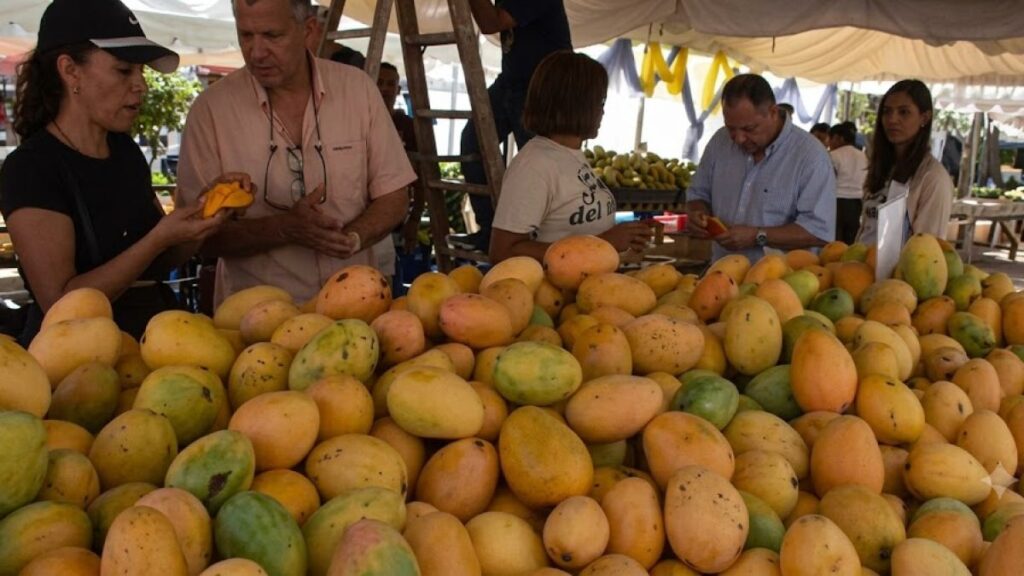 pld-acusa-al-gobierno-de-provocar-veda-del-mango-hacia-ee-uu.