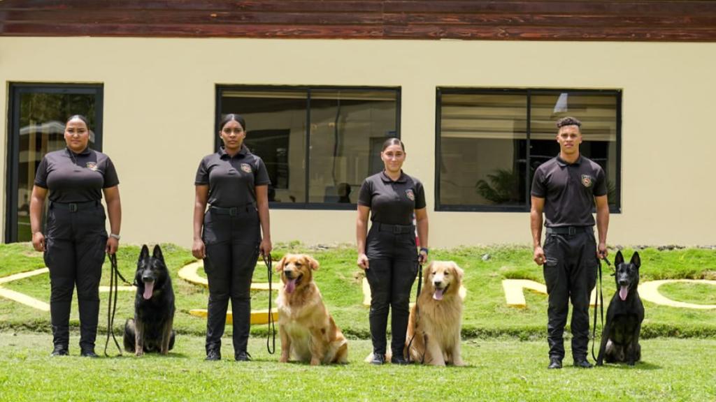 spay,-jack,-manta-y-punk:-los-heroes-caninos-de-la-dncd-que-luchan-contra-el-narcotrafico