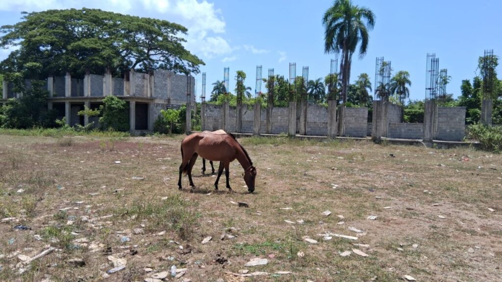 maestros-denuncian-abandono-de-escuelas-y-presuntas-irregularidades-en-educacion-en-cotui
