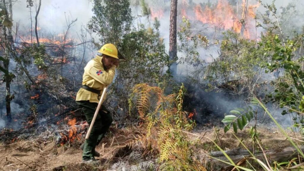 mas-de-250-fuegos-forestales-durante-todo-este-ano-dispara-la-alarma-y-la-preocupacion-estatal