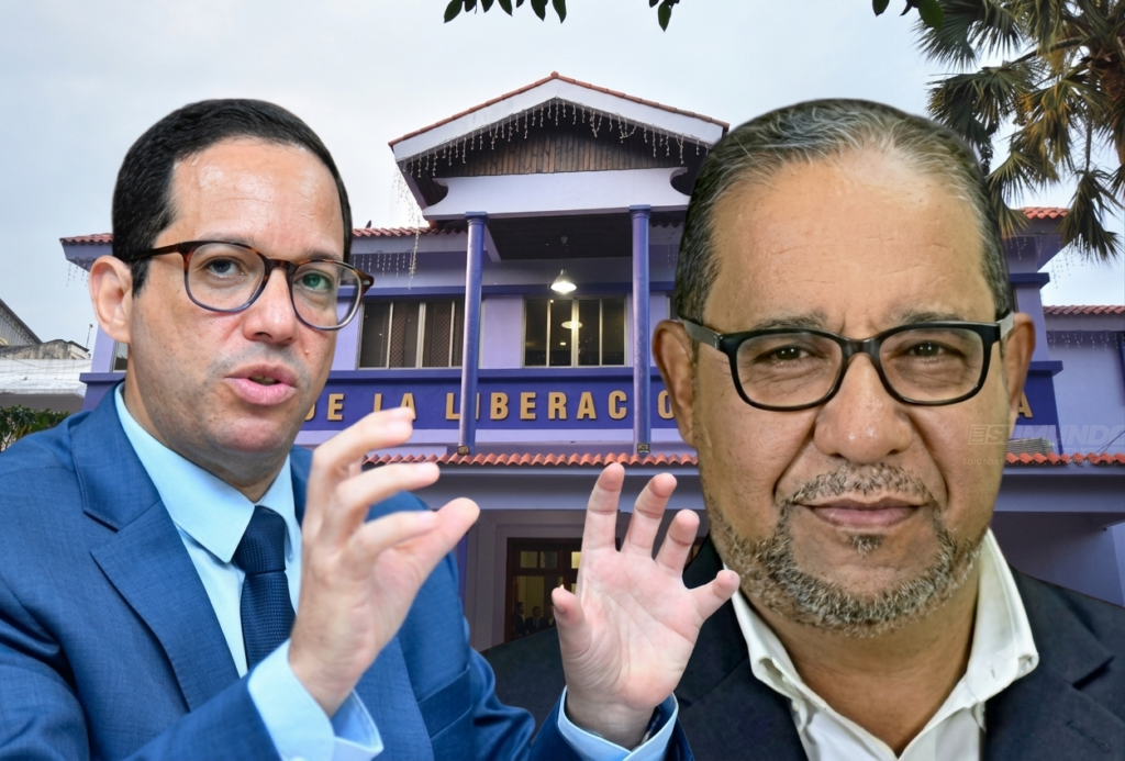 pld-acusa-al-gobierno-del-prm-de-“fracasar”-en-la-administracion-publica-tras-declaraciones-de-sigmund-freund