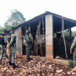 Controlan incendios y tala ilegal en la Sierra de Bahoruco tras reforzar vigilancia