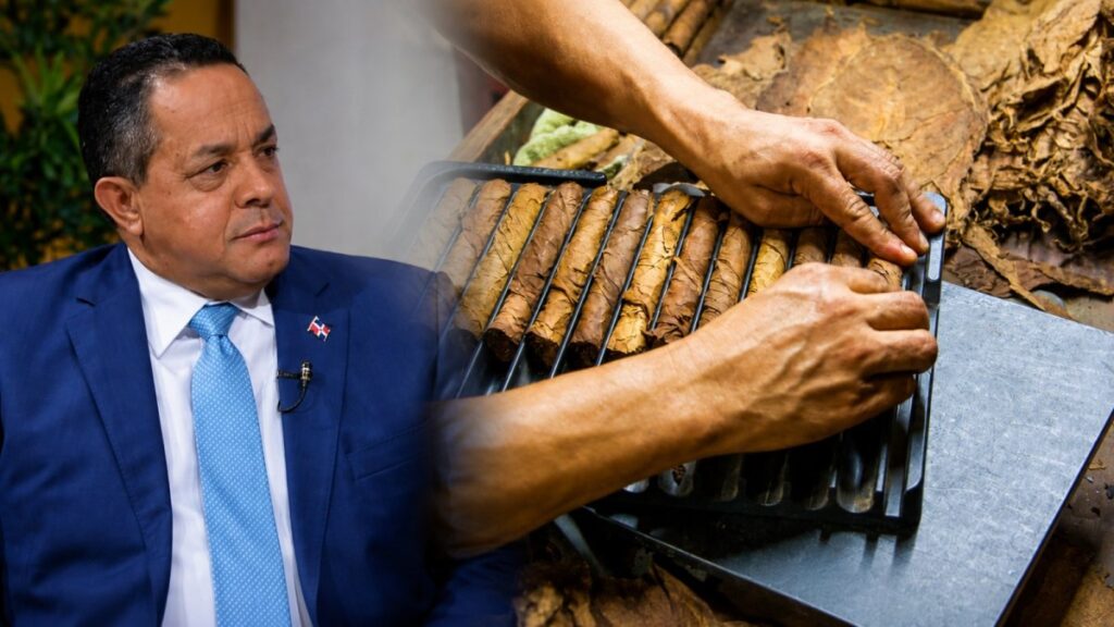 tabacaleros-reportan-perdidas-totales-y-precios-por-el-suelo;-pld-se-solidariza-con-productores