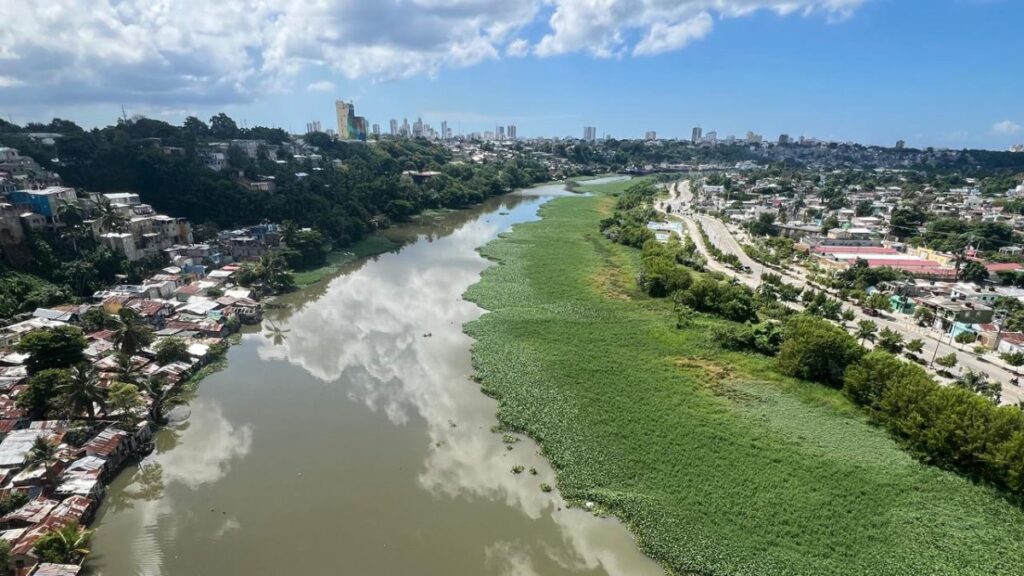 cientos-de-toneladas-de-lilas-navegan-por-los-rios-ozama-e-isabela:-impacto-y-mitos-sobre-su-origen
