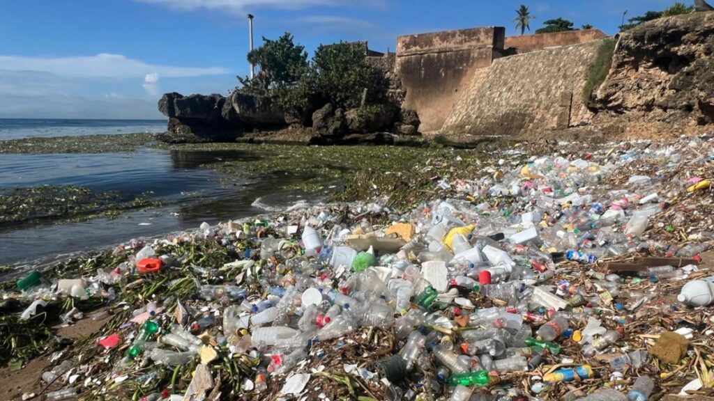 la-trampa-natural-que-atrapa-la-basura-que-arrastra-el-rio-ozama-hacia-el-mar-caribe