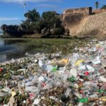 La trampa natural que atrapa la basura que arrastra el río Ozama hacia el mar Caribe