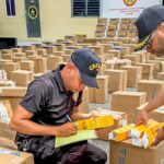 En Los Tres Ojos y Los Frailes desmantelan almacenes con más de 46 mil medicamentos vecidos y falsificados