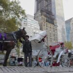 Nueva York aprueba prohibir carruajes de caballos en 2028